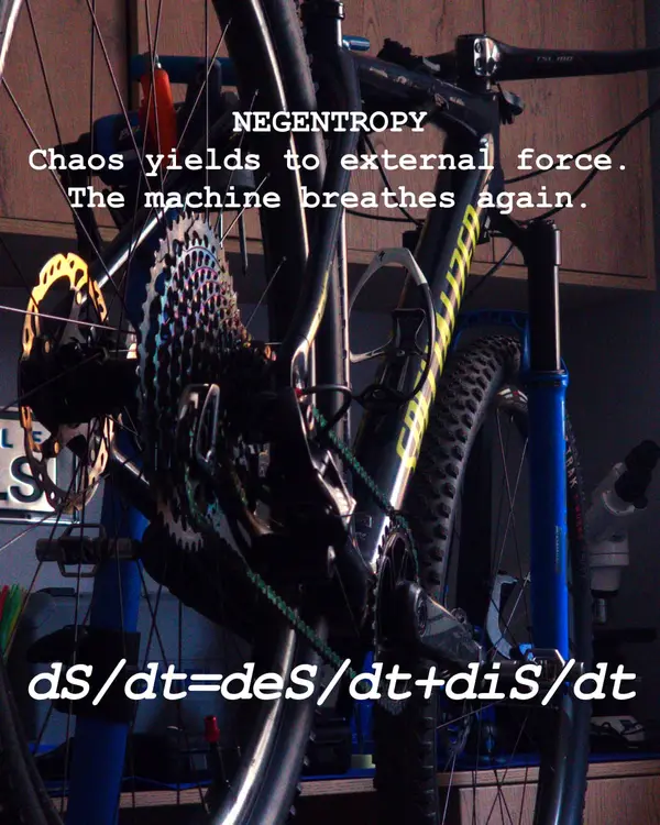 Negentropía — Scientific Noir BikeLab