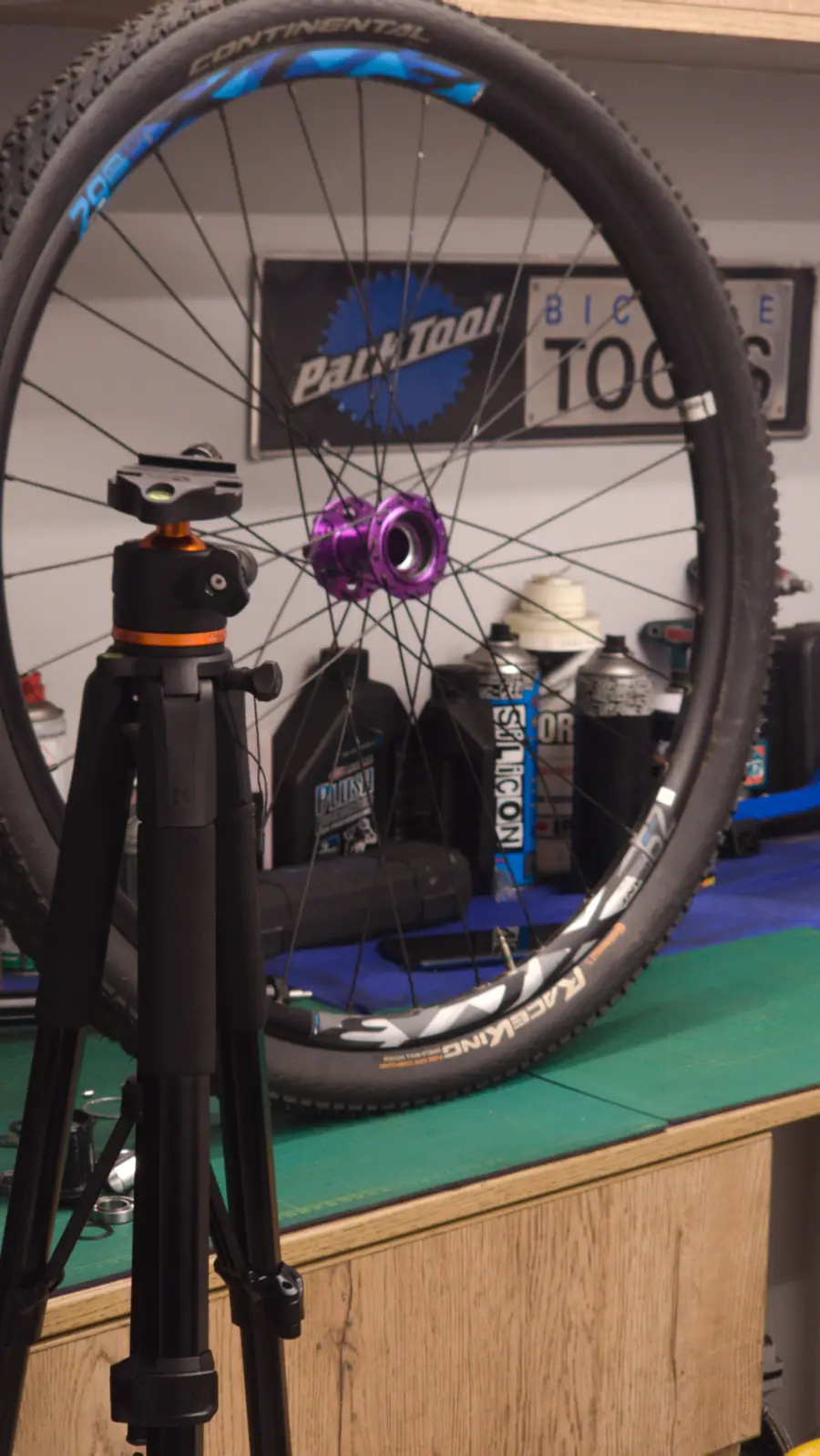 Rueda de montaña de 29 pulgadas de pie en el taller, vista de frente: buje, radios cruzados y aro con el neumático montado — BikeLab Studio · Carlos Eduardo Ravello Joo